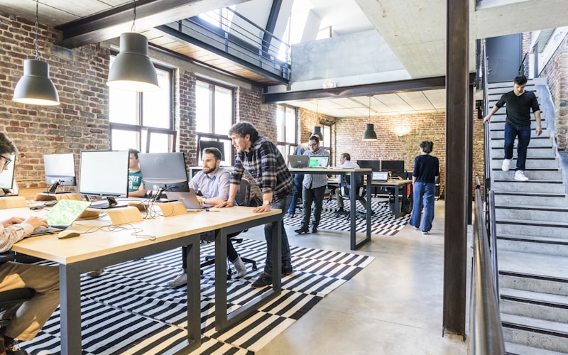Startup vodic